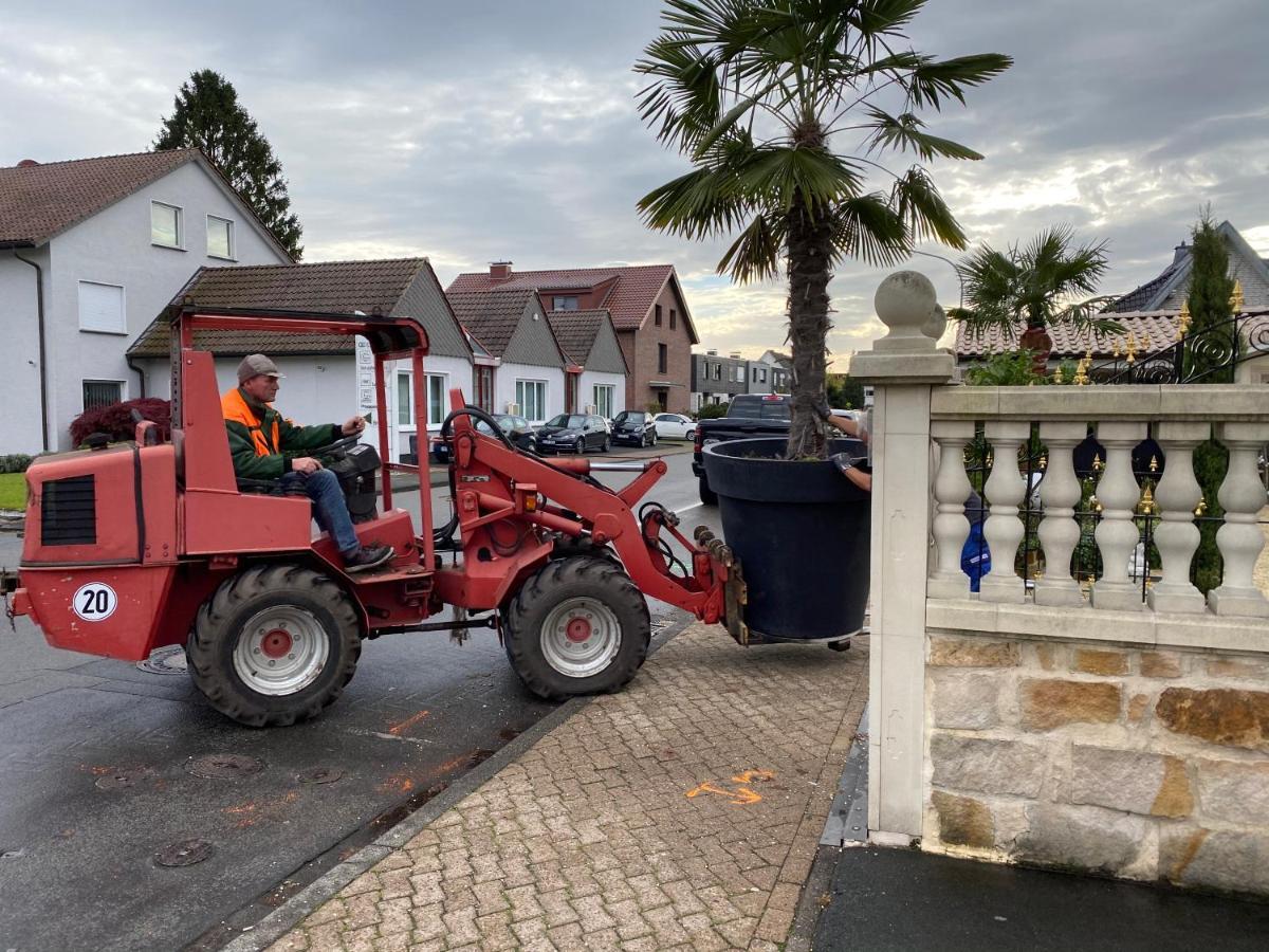 Wilsmann Apartmentvermietung Hovelhof Bagian luar foto