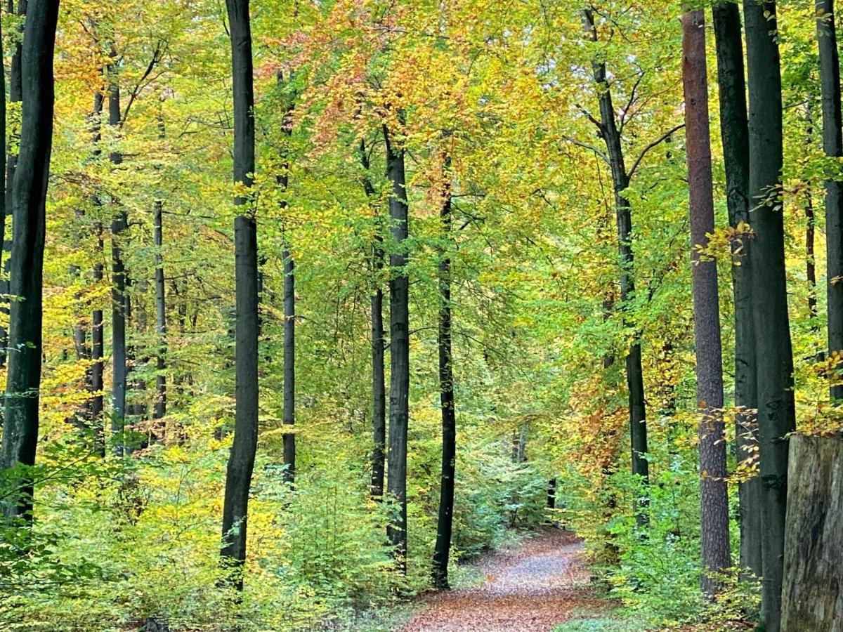 Wilsmann Apartmentvermietung Hovelhof Bagian luar foto
