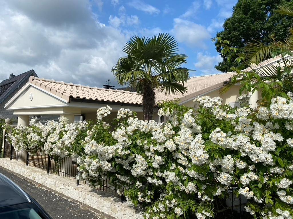 Wilsmann Apartmentvermietung Hovelhof Bagian luar foto