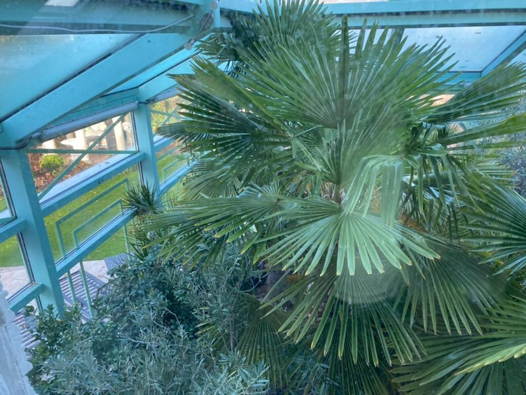 Wilsmann Apartmentvermietung Hovelhof Bagian luar foto