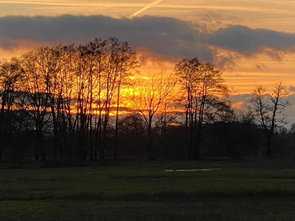Wilsmann Apartmentvermietung Hovelhof Bagian luar foto